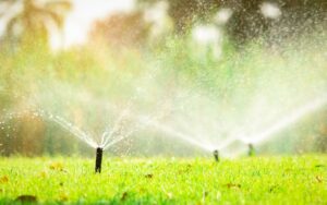 lawn sprinklers watering grass