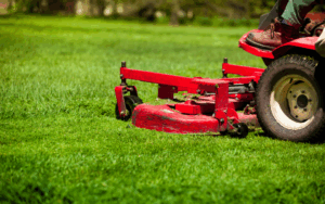 zero turn riding lawn mower on healthy grass lawn