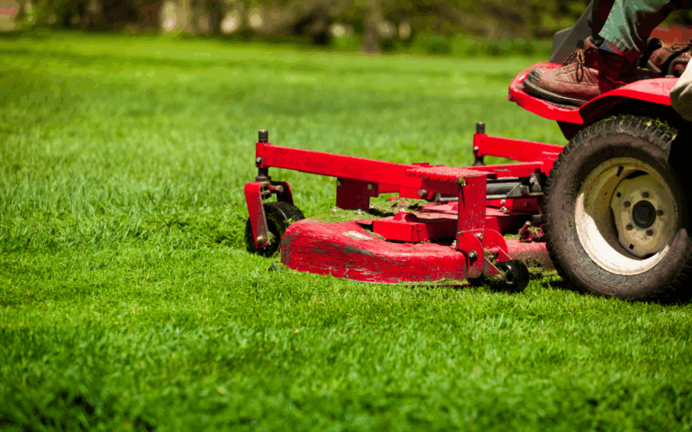 zero turn riding lawn mower on healthy grass lawn