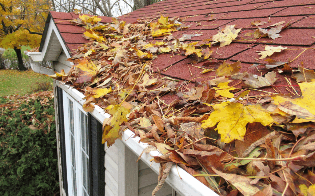 home gutter with leaves