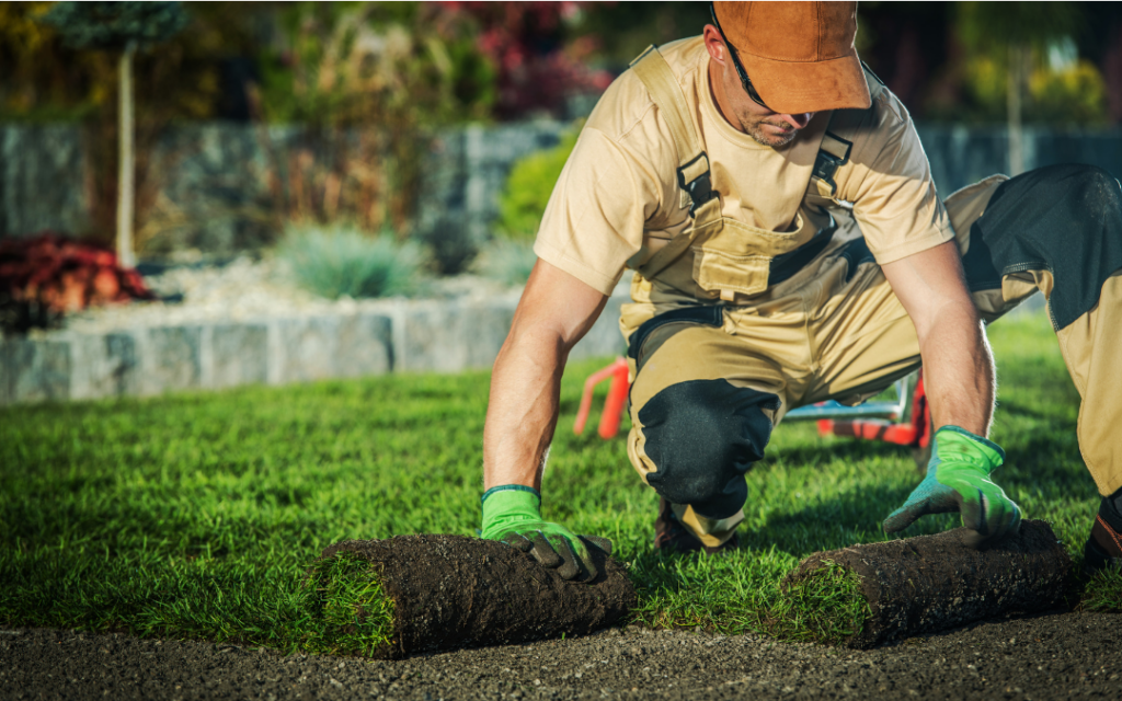 Landscapring worker laying sod in spring